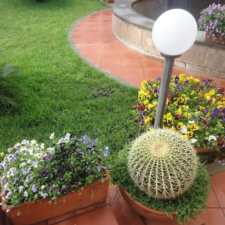 ゲストハウス Acquamarina チビタベッキア